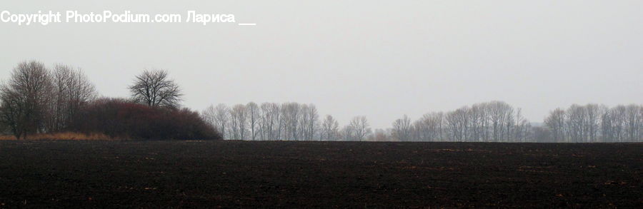 Fog, Mist, Outdoors, Dirt Road, Gravel, Road, Field