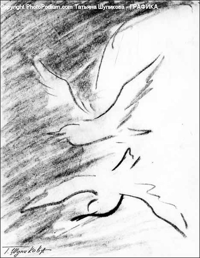Drawing, Sketch