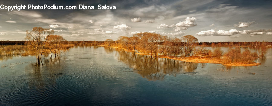 Land, Marsh, Outdoors, Swamp, Water, Grass, Plant