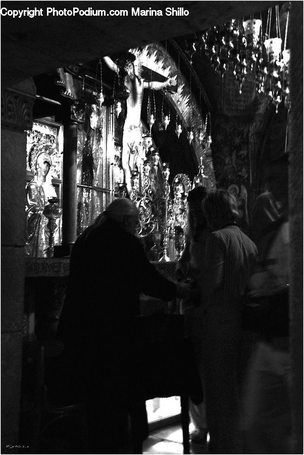 People, Person, Human, Bar Counter, Pub, Plant, Potted Plant