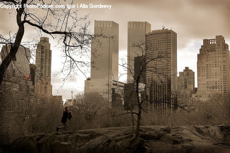 Demolition, City, Downtown, Metropolis, Urban, Building, High Rise