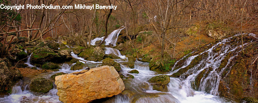 Creek, Outdoors, River, Water, Blossom, Flora, Flower