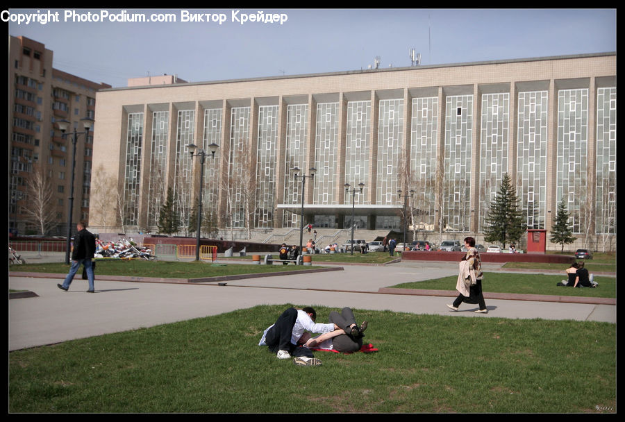 Field, Grass, Grassland, Plant, Lawn, Building, Office Building