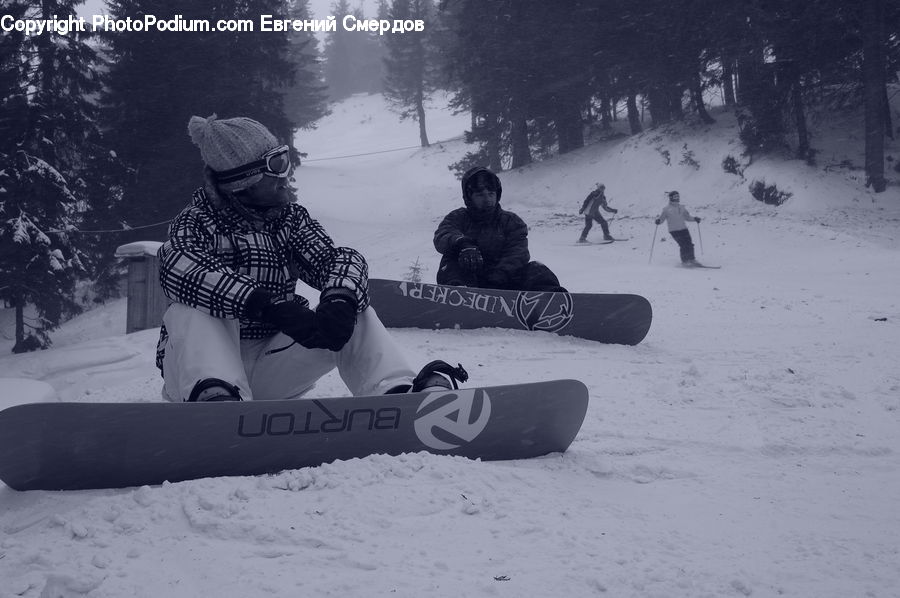 People, Person, Human, Piste, Slide, Snow, Snowboarding