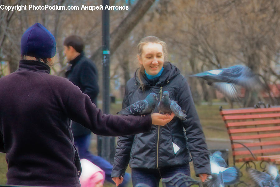 Human, People, Person, Bird, Jay, Cap, Hat