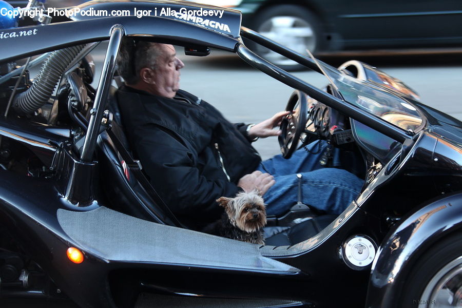 People, Person, Human, Automobile, Car, Convertible, Hot Rod