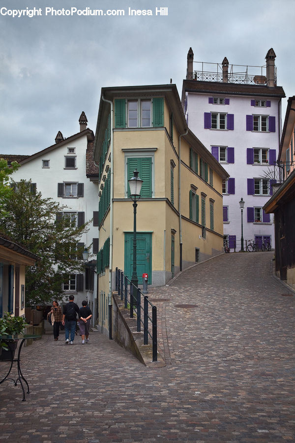 Plant, Potted Plant, Alley, Alleyway, Road, Street, Town