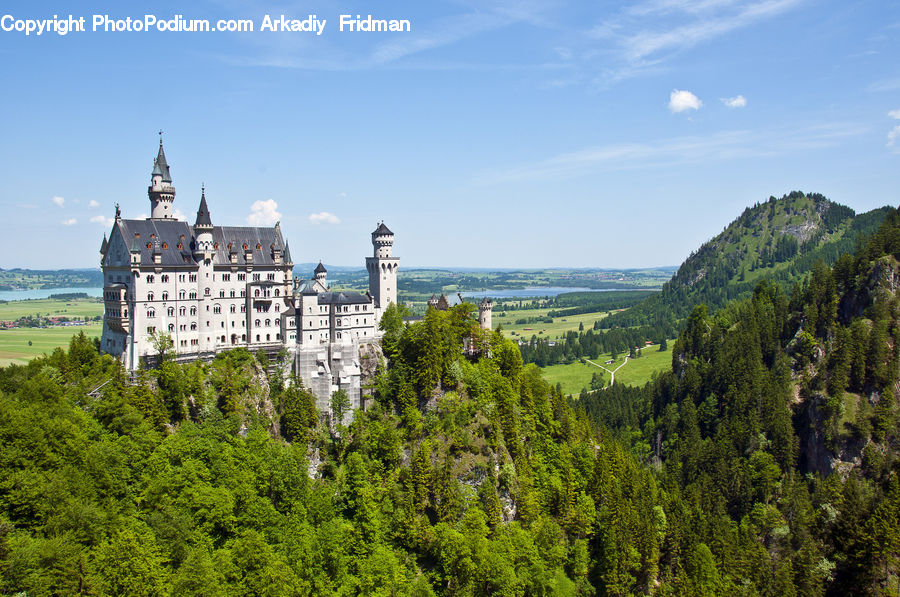 Architecture, Castle, Fort, Housing, Monastery, Conifer, Fir