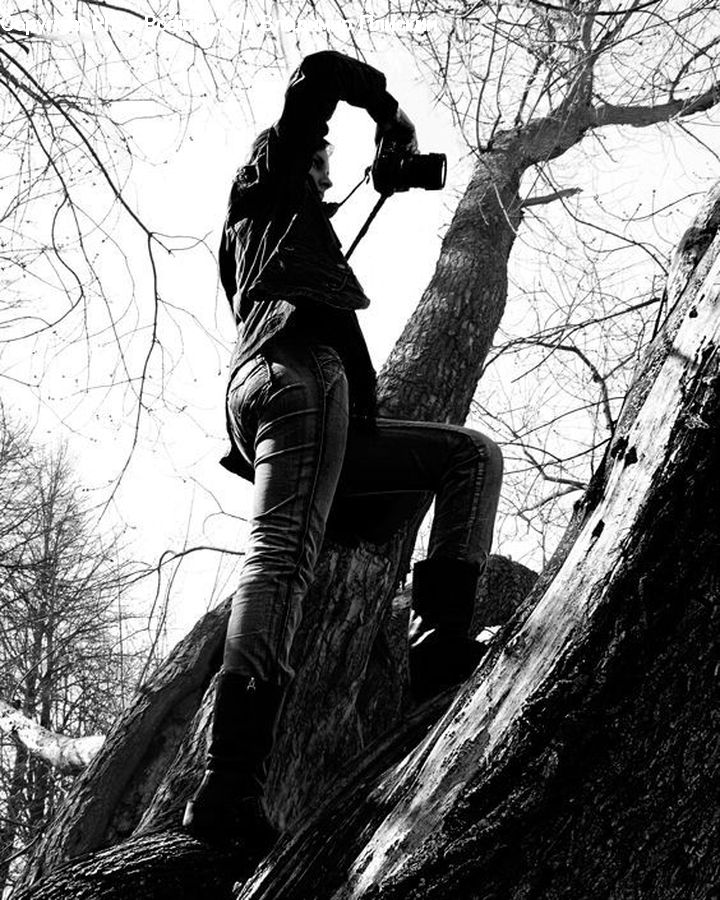 Art, Sculpture, Statue, Plant, Tree, Forest, Vegetation
