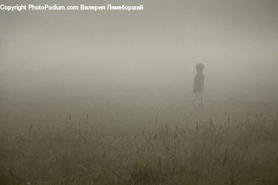 Fog, Mist, Outdoors