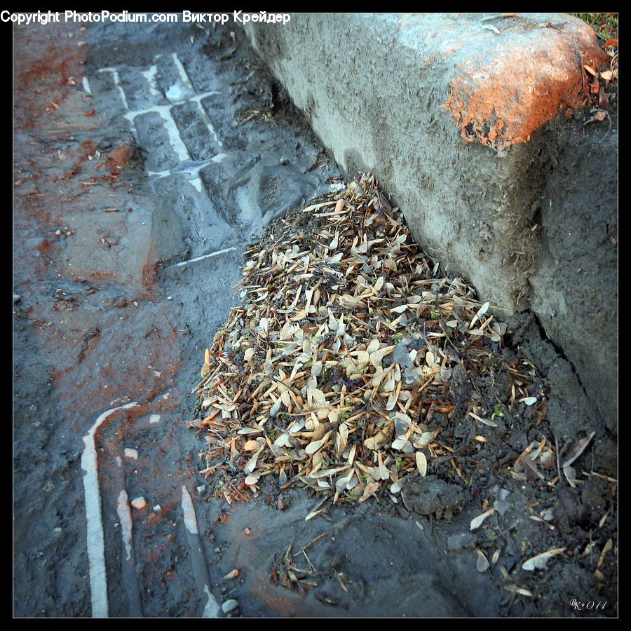 Flagstone, Bird Nest, Nest, Rubble, Pavement