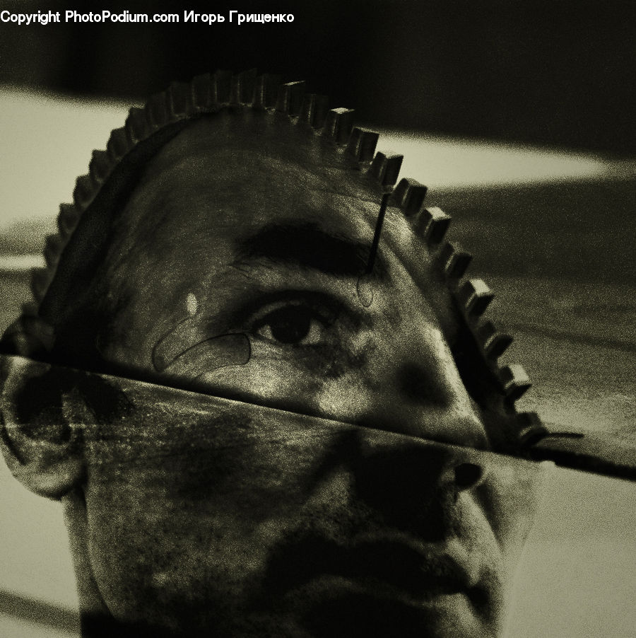 Head, Portrait, Face, Selfie, Person