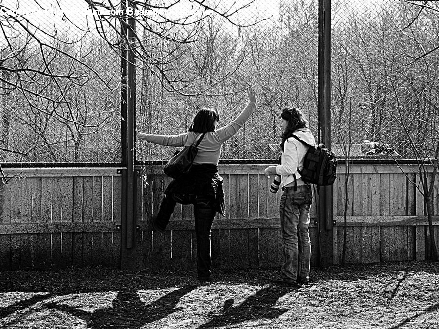 Human, People, Person, Forest, Vegetation, Fence, Leisure Activities
