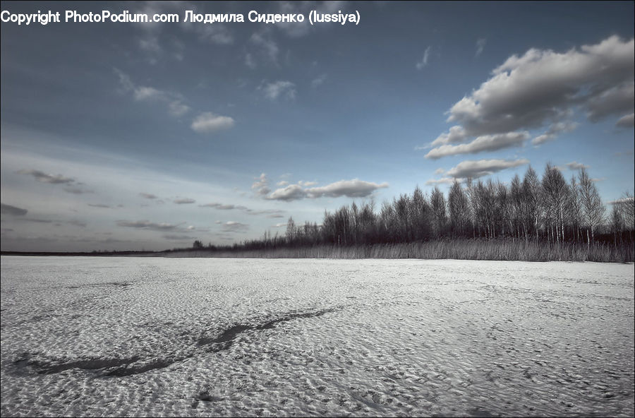 Cloud, Cumulus, Sky, Azure Sky, Outdoors, Dirt Road, Gravel