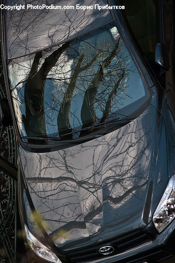 Car Mirror, Mirror, Headlight, Light, Bumper, Car