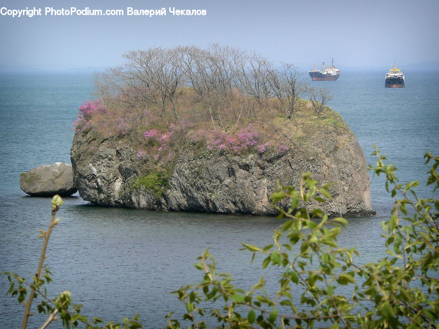 Cliff, Outdoors, Coast, Sea, Water, Moss, Plant