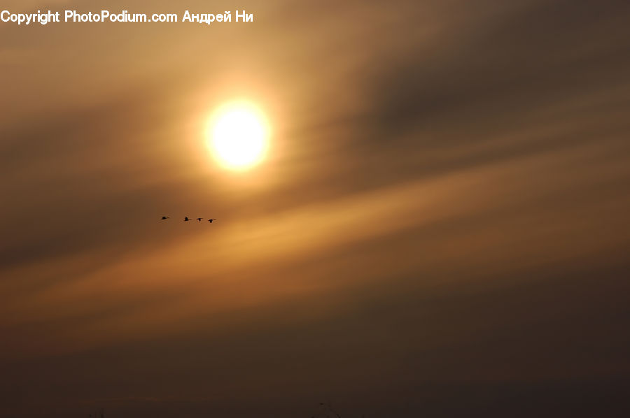 Sun