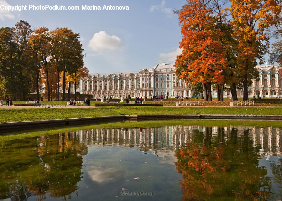 Outdoors, Pond, Water, Park, Building, Forest, Vegetation