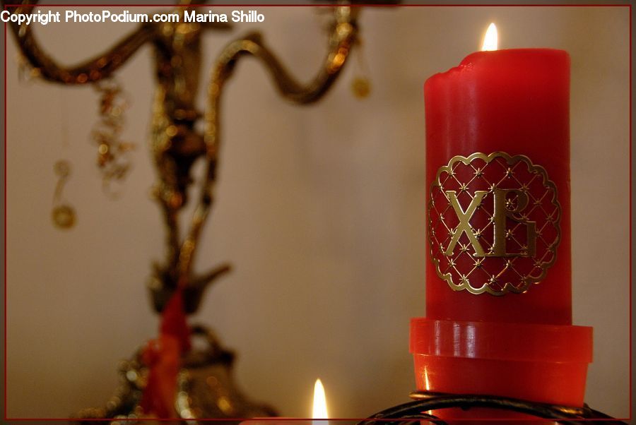 Candle, Plant, Potted Plant, Indoors, Interior Design, Room, Flower Arrangement