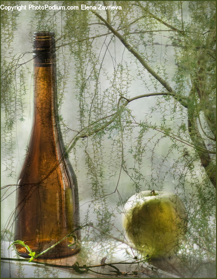 Bamboo, Plant, Wood, Glass, Goblet, Outdoors, Pond