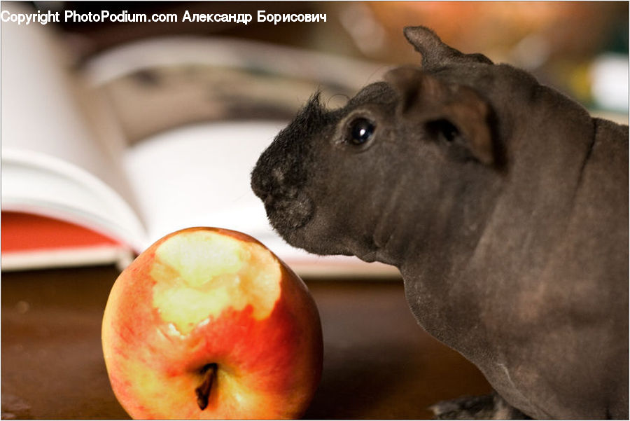 Apple, Fruit, Eating, Peach, Face