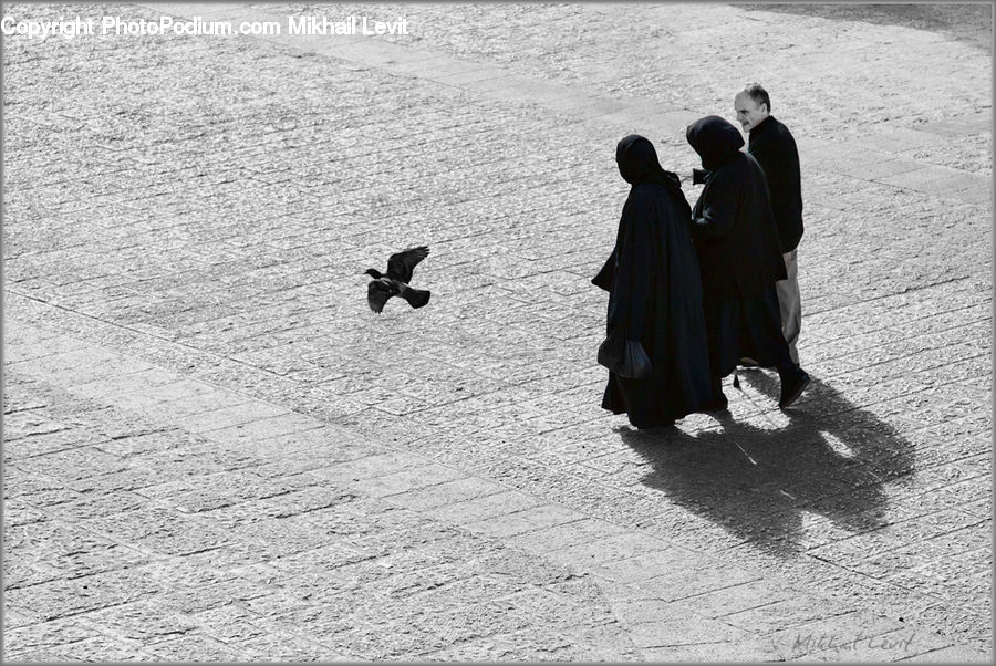 People, Person, Human, Outdoors, Sand, Soil, Tourist