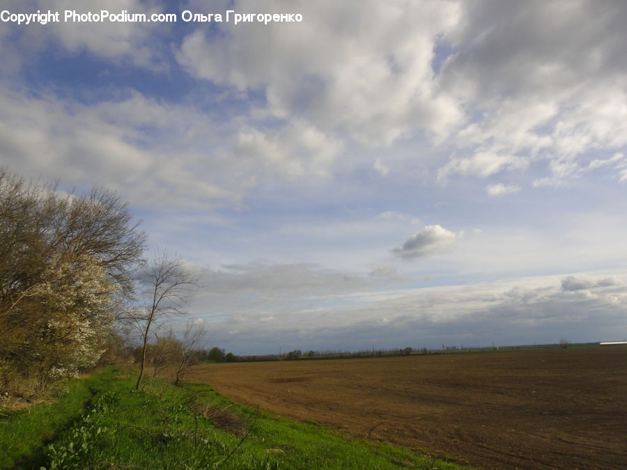Field, Grass, Grassland, Land, Outdoors, Dirt Road, Gravel
