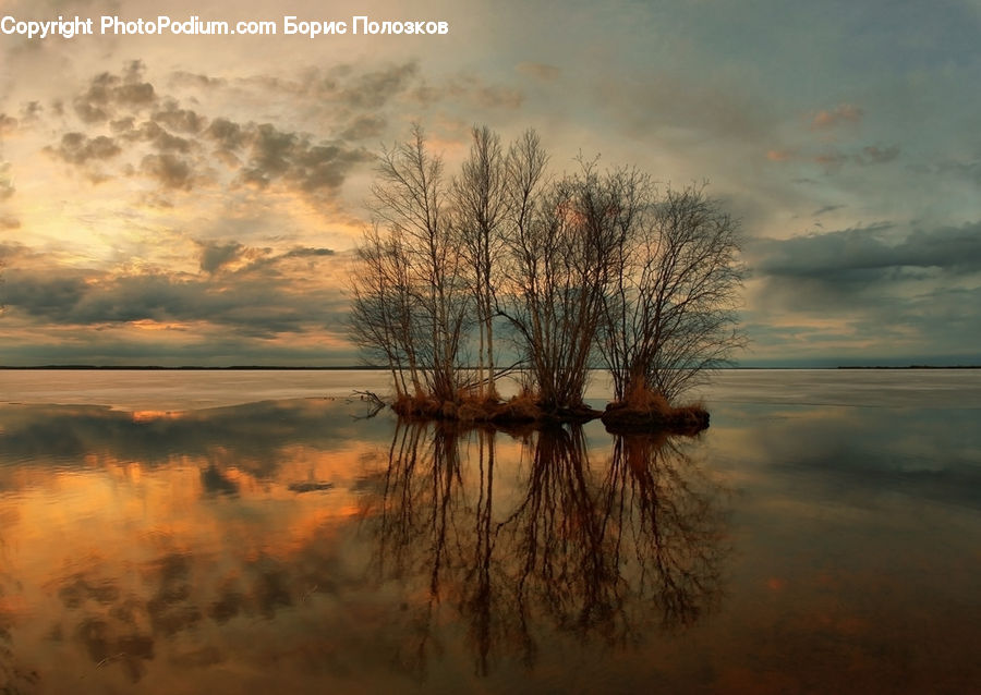 Dawn, Dusk, Sky, Sunrise, Sunset, Land, Marsh