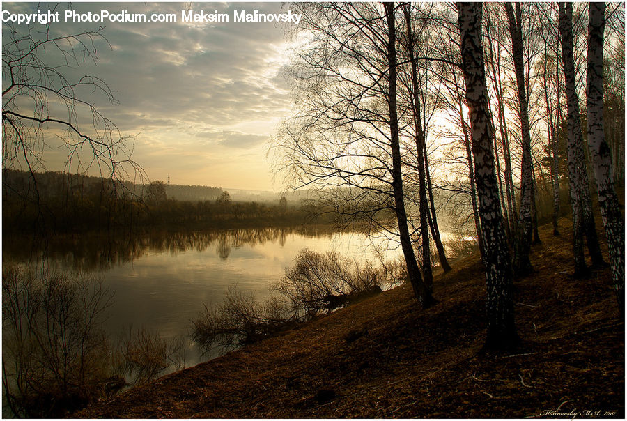 Dawn, Dusk, Sky, Sunrise, Sunset, Flood, Field
