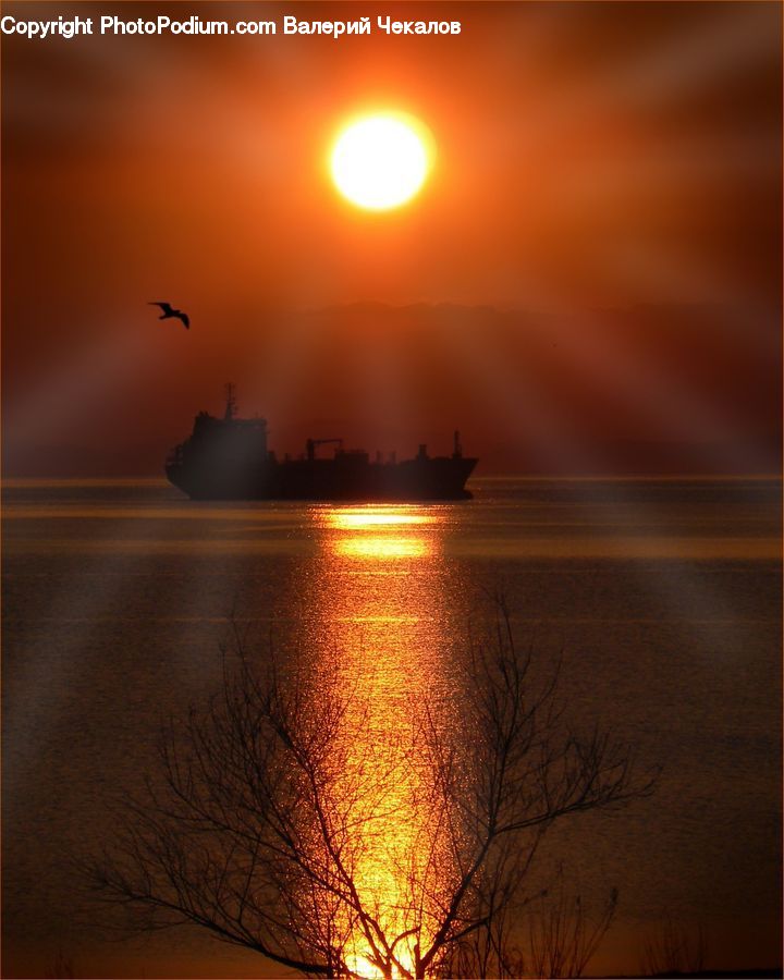 Light, Freighter, Ship, Vessel, Dawn, Outdoors, Sky