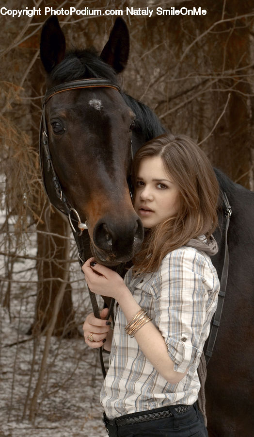 People, Person, Human, Animal, Horse, Mammal, Stallion