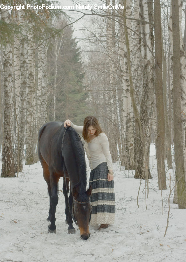 People, Person, Human, Animal, Horse, Mammal, Blonde