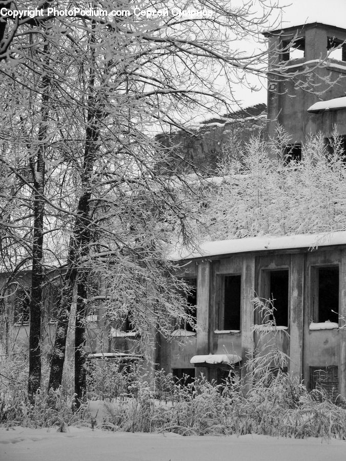 Building, Cottage, Housing, Villa, Deck, Porch, Cabin