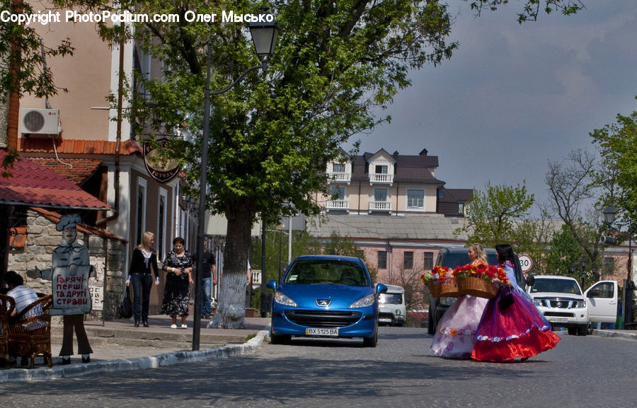 People, Person, Human, Automobile, Car, Vehicle, Bonsai