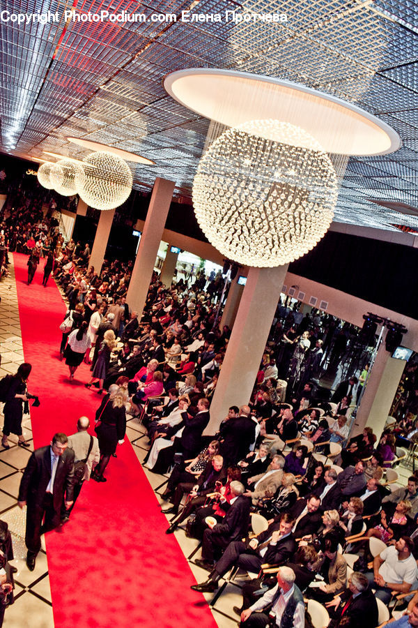 Premiere, Red Carpet, Audience, Crowd, People, Person, Indoors
