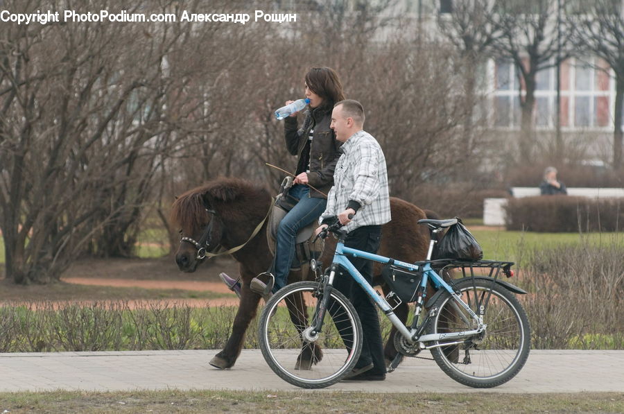 Bicycle, Bike, Vehicle, People, Person, Human, Cyclist