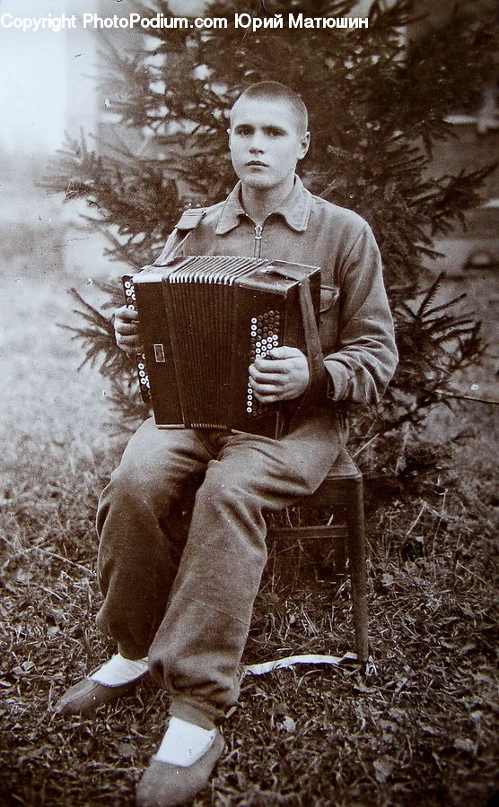 People, Person, Human, Accordion, Musical Instrument, Bowl