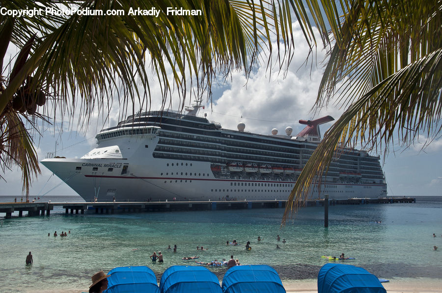 Cruise Ship, Ocean Liner, Ship, Vessel, Beach, Coast, Outdoors