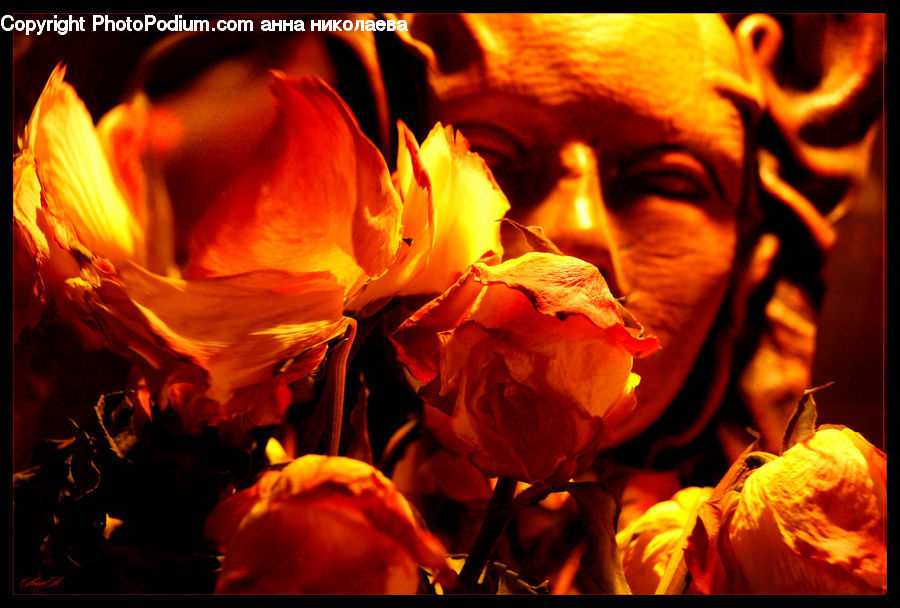 People, Person, Human, Pumpkin, Squash, Vegetable, Blossom