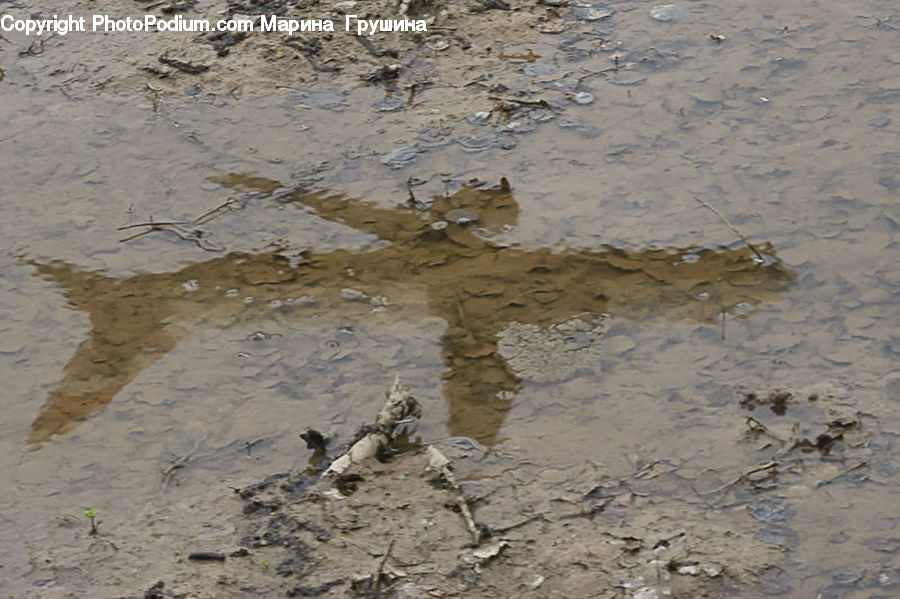 Mud, Soil