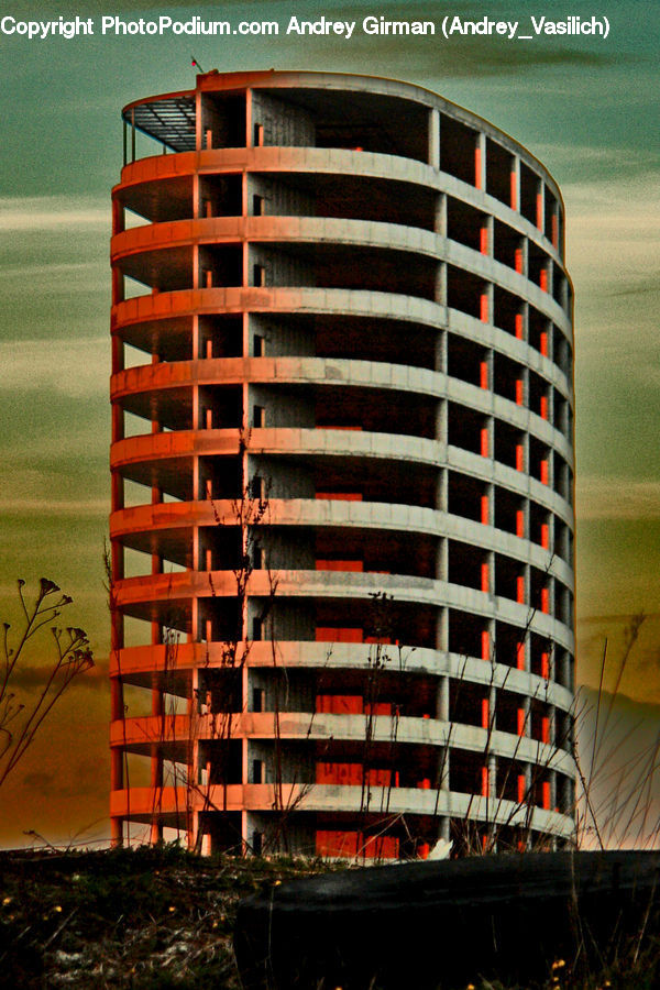 Plant, Potted Plant, Building, Housing, Apartment Building, High Rise, City