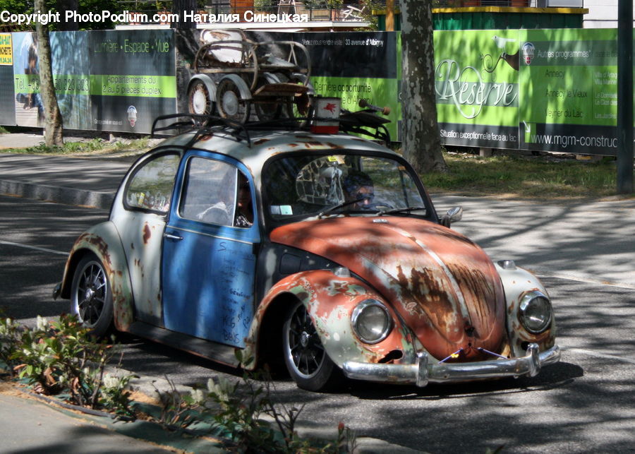 Automobile, Car, Vehicle, Roof Rack, Plant, Potted Plant, Coupe