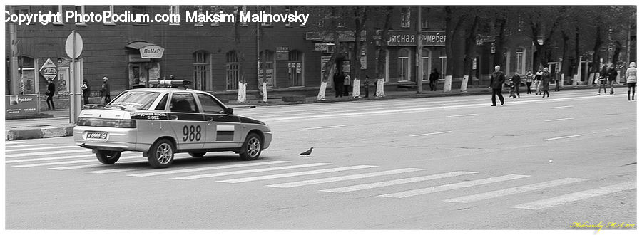 Cab, Car, Taxi, Vehicle, Suv, Intersection, Road
