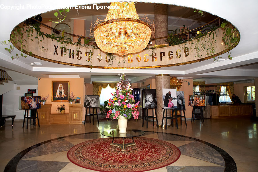 Plant, Potted Plant, Indoors, Lobby, Reception, Room, Chair