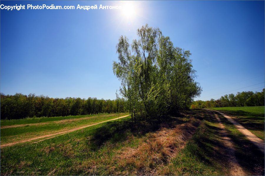 Dirt Road, Gravel, Road, Field, Grass, Grassland, Land