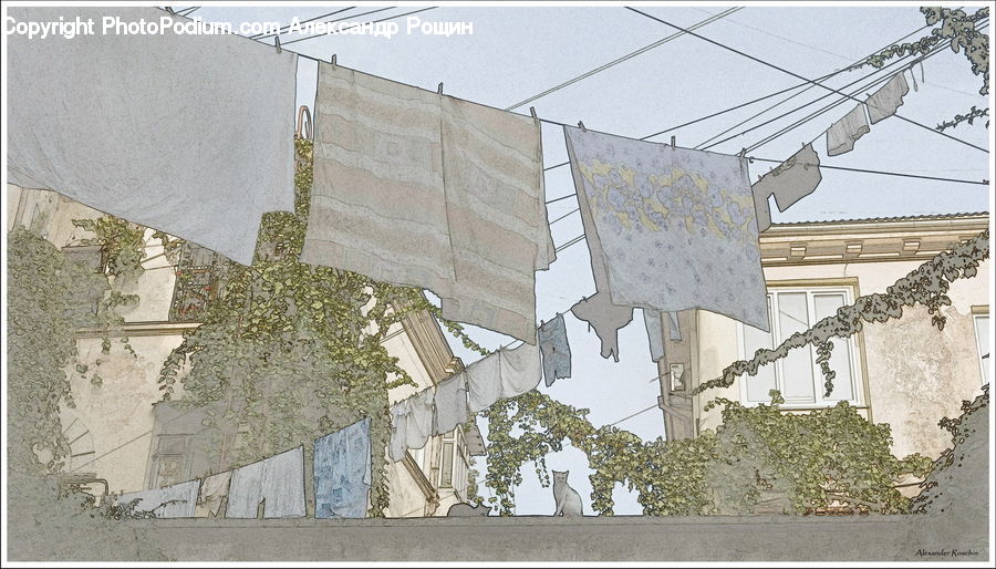 Diagram, Plan, Plant, Potted Plant, Atlas, Map, Collage