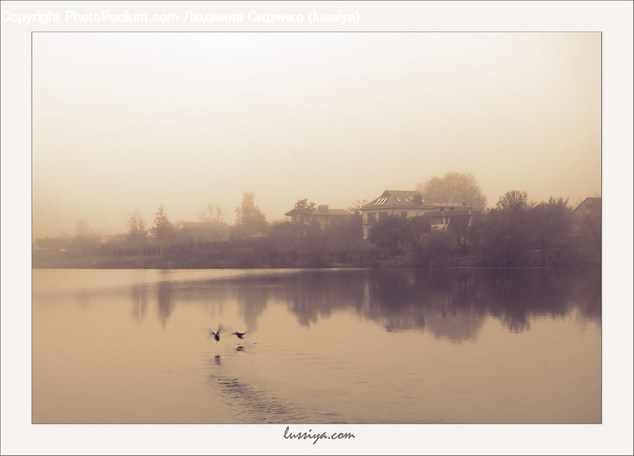Dawn, Dusk, Sky, Sunrise, Sunset, Fog, Leisure Activities