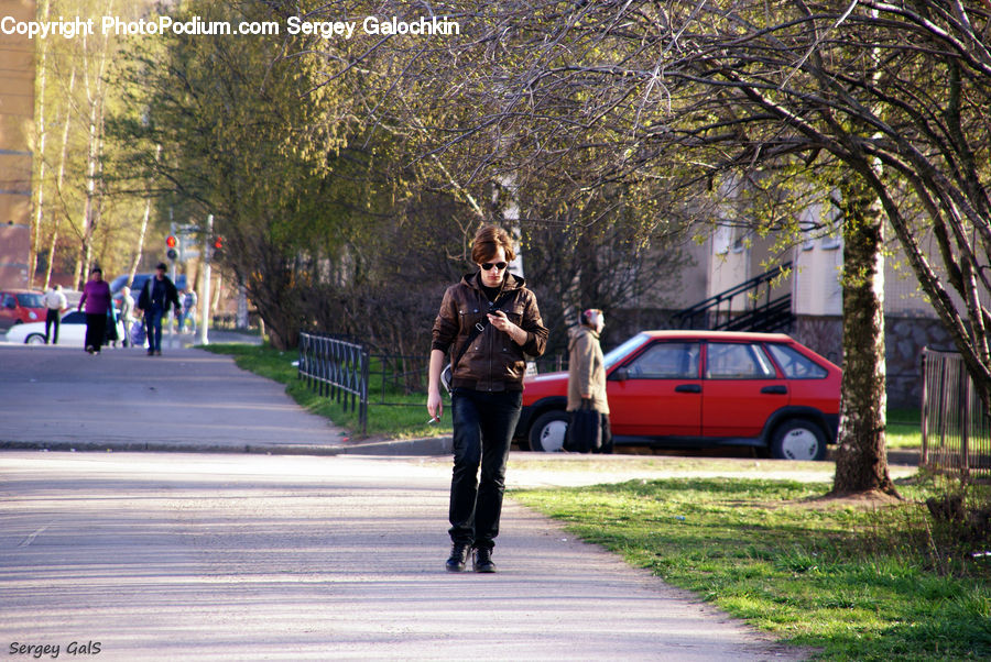 People, Person, Human, Automobile, Car, Vehicle, Dirt Road