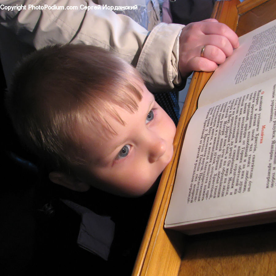 People, Person, Human, Reading, Diary, Text