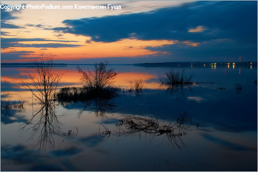 Land, Marsh, Pond, Swamp, Water, Dawn, Dusk